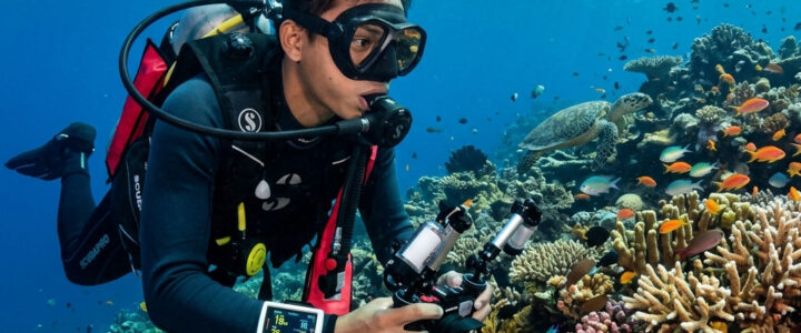 Mata Hati dan Teknologi: Kisah Brigitta Gunawan Menyelamatkan Terumbu Karang Indonesia